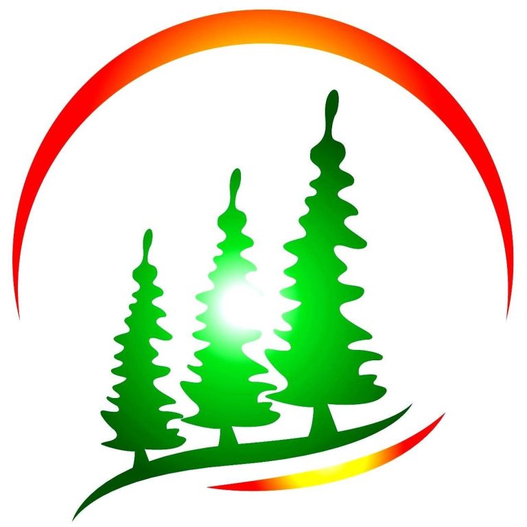 peaceful pines healing practices counseling plover 768x768