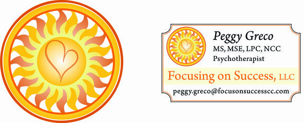 focus on sucess llc counseling stevens point
