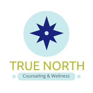 true north counseling wellness counseling stevens point