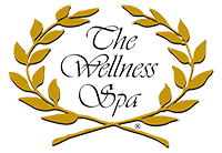 the wellness spa massage stevens point