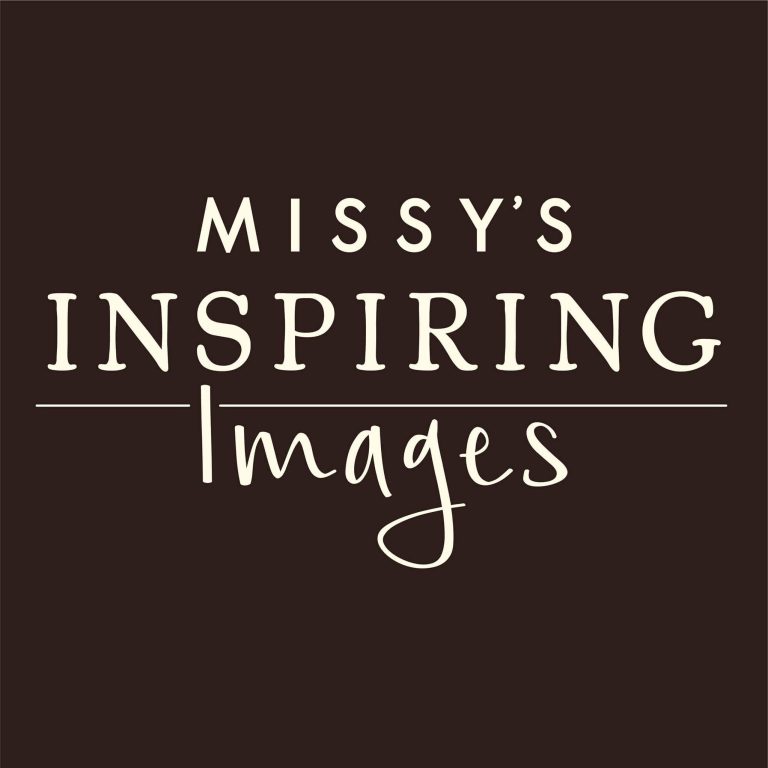 missys inspiring images salon antigo wisconsin 768x768